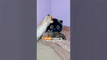 Как расправить игрушку после вакуумной упаковки #подарок #распаковка